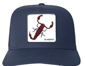 Scorpio Trucker Cap - Petroleum